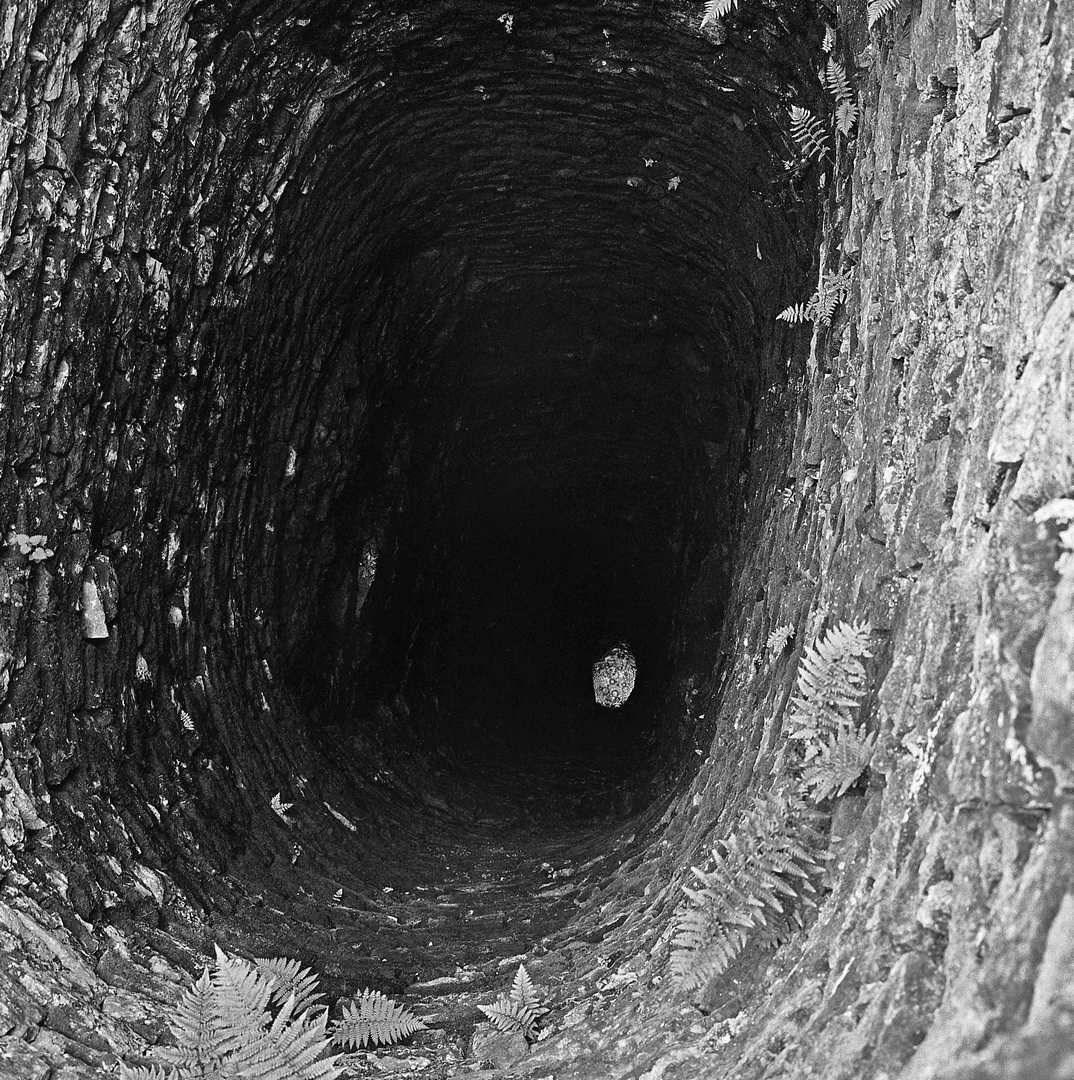 Hard Rake Drawing shaft view down 1968